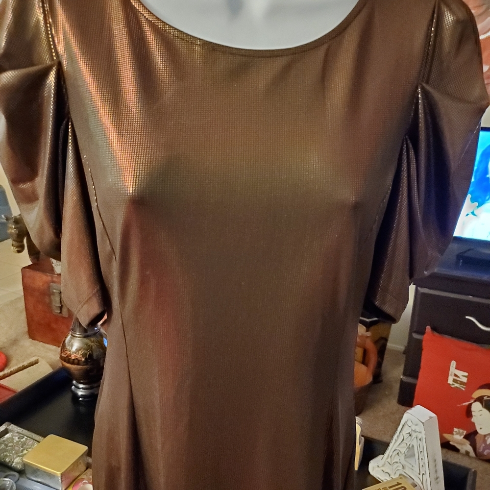 Shiny dress